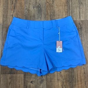 Lane Bryant Light Blue Scalloped Bottom Shorts NWT